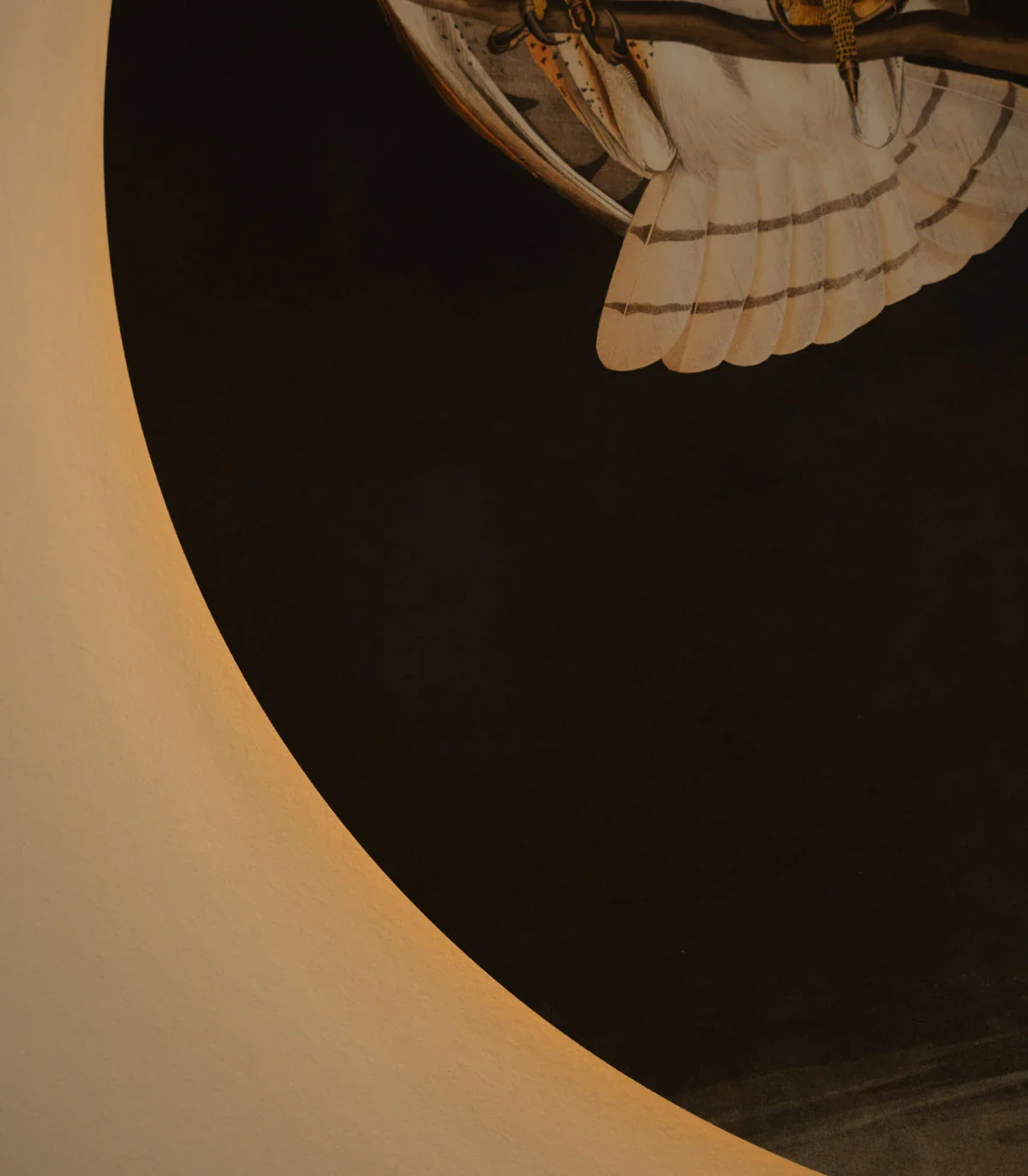 Produktbild 5